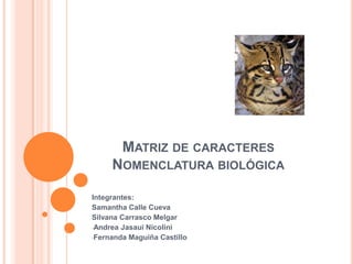 Matriz de caracteresNomenclatura biológica Integrantes: Samantha Calle Cueva Silvana Carrasco Melgar ,[object Object]