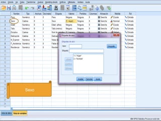 Sexo
 