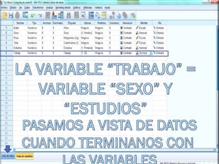 Matriz de datos: SPSS&Excell 