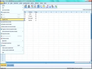 Matriz de datos: SPSS&Excell 