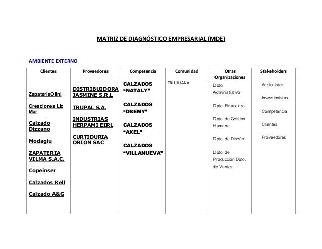 Matriz de diagnóstico empresarial empresa de calzado
