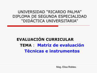 UNIVERSIDAD “RICARDO PALMA” DIPLOMA DE SEGUNDA ESPECIALIDAD “DIDÁCTICA UNIVERSITARIA” EVALUACIÓN CURRICULAR TEMA  :  Matriz de evaluación Técnicas e instrumentos Mag. Elisa Robles.  