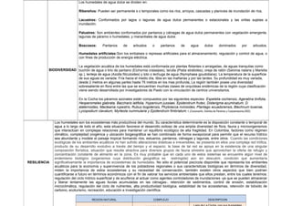 BIODIVERSIDAD
Los humedales de agua dulce se dividen en:
Ribereños: Pueden ser permanente s o temporales como los ríos, arroyos, cascadas y planicies de inundación de ríos.
Lacustres: Conformados por lagos o lagunas de agua dulce permanentes o estacionales y las orillas sujetas a
inundación.
Palustres: Son ambientes conformados por pantanos y ciénagas de agua dulce permanentes con vegetación emergente,
lagunas de páramo o humedales, y manantiales de agua dulce.
Boscosos: Pantanos de arbustos o pantanos de agua dulce dominados por arbustos.
Humedales artificiales:Son los embalses o represas artificiales para el almacenamiento, regulación y control de agua, o
con fines de producción de energía eléctrica.
La vegetación acuática de los humedales está conformada por plantas flotantes o arraigadas, de aguas tranquilas como
buchón de agua o lirio de pantano (Eichornia crassipes), tarulla (Pistia stratiotes), oreja de ratón (Salvinia natans y Marsilia
sp.), lenteja de agua (Azolla filiculoides) y loto o lechuga de agua (Nymphaea goudotiana). La temperatura de la superficie
de sus aguas es variada: Fría hacia el medio día, tibia en las mañanas y por las tardes. Su profundidad es muy variada,
desde 2 metros en algunas partes hasta 75 metros en los mas profunda, La región también posee una diversidad
sobresaliente en flora entre las que se encuentran muchas clases de orquídeas endémicas de la región cuya clasificación
viene siendo desarrollada por investigadores de Pasto con la vinculación de centros universitarios.
En la Cocha los páramos azonales están compuestos por las siguientes especies: Espeletia cochensis, Ageratina tinifolia,
Hesperomeles glabrata, Baccharis latifolia, Hypericum jussiaei, Epidendrum frutex, Disterigma acuminatum, D.
alaternoides, Macleania rupestris, Rubus bogotensis, Phytolacca rivinioides, Plantago ecuadorensis, Blechnum loxense,
Lycopodium clavatum, Myrteola nummularia y Epidendrum fimbriatum.1.(Corponariño, Distritos de Paramos y Corpoamazonia,2002).
RESILIENCIA
Los humedales son los ecosistemas más productivos del mundo. Su característica determinante es la disposición constante o temporal de
agua a lo largo de todo el año, esta situación favorece el desarrollo exitoso de una amplia diversidad de flora, fauna y microorganismos
que interactúan en complejas relaciones para mantener un equilibrio ecológico de alta fragilidad. En Colombia, factores como régimen
climático, complejidad orogénica y ubicación biogeográfica se han combinado de forma excepcional para permitir que el recurso hídrico
sea abundante y modele el paisaje tropical formando ríos, estuarios, pantanos, ciénagas y lagunas, entre otros. Cuando las condiciones
ecológicas de los ambientes acuáticos no han sufrido alteraciones drásticas e irreversibles, se presenta en ellos una compleja red trófica,
producto de su desarrollo evolutivo a través del tiempo y el espacio; la base de tal red se apoya en la existencia de una singular
composición florística, situación que resulta atractiva para diversos grupos de fauna silvestre que aprovechan la oferta de refugio y
concentración constante de alimento en la zona. Es muy probable que en cada uno de estos sistemas se encuentre algún nivel de
endemismo biológico (organismos cuya distribución geográfica es restringida) aún sin descubrir, condición que aumentaría
significativamente la importancia de ecosistemas de humedales. No sólo el potencial piscícola disponible que representa los ambientes
acuáticos para la economía y supervivencia de los pobladores regionales o sus características biológicas en términos de diversidad,
miden la importancia de estos ecosistemas y su necesidad de conservación, también existen otros aspectos que bien podrían
cuantificarse a futuro en términos económicos con el fin de valorar los servicios ambientales que ellos prestan, entre los cuales tenemos:
regulación del ciclo hídrico superficial y de acuíferos al actuar como agentes controladores de inundaciones -ya que se pueden almacenar
y liberar lentamente las aguas lluvias acumuladas en las ciénagas-, retención de sedimentos, control de erosión, estabilización
microclimática, regulación del ciclo de nutrientes, alta productividad biológica, estabilidad de los ecosistemas, retención de bióxido de
carbono, ecoturismo, recreación, educación e investigación científica.
REGION NATURAL COMPLEJO DESCRIPCION
 