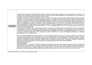 3(www.utadeo.edu.co.Revista La Tadeo.N.67-Primer Semestre 2002. Bogotá D.C. Colombia.
CONOCIMIENTO
ECOSISTEMA
La faja inferior del Escudo del Departamento de Nariño contiene la figura natural de una laguna, la de Guamués o de La Cocha, es el
símbolo de los humedales, reservas naturales, parques nacionales y demás áreas protegidas en el Departamento. La más extensa en
Colombia, con la Corota emporio de riqueza en la fauna y la flora.
El origen es tectónico y se remonta al terciario, durante una época de fracturas, hundimientos de la corteza terrestre e intensa actividad
volcánica. Es uno de los lagos interandinos más bellos de América, su importancia hay que encontrarla en la biodiversidad del bosque
primigenio, la diversidad cultural y las potencialidades energéticas y turísticas; este es un buen sitio para la pesca, la recreación y el
deporte. La superficie de la cuenca es de 22.590 hectáreas, distribuídas así: Área de drenaje 18.339 hectáreas, área del lago o espejo de
agua 4.240 hectáreas, isla la Corota 11 hectáreas. Tiene una longitud máxima de 14.370 metros y una anchura máxima de 5.400 metros.
Otras características del Lago Guamués son: profundidad máxima 75 metros, temperatura que oscila entre 10º y 18º C; una altura de
2.745 metros sobre el nivel del mar, una latitud norte de 1º 7' 24" y una longitud oeste de 77º 6' 45". La zona de vida es de bosque muy
húmedo montano bajo (bmh-MB).
La Cocha no es un embalse, es un cuerpo de agua natural, un cuerpo vivo y complejo, frágil a los impactos como todos los ecosistemas
intertropicales, por lo tanto, cualquier perturbación puede ser fatal con daños irreversibles en las comunidades de la orilla, siendo la
Ciudad de Pasto una de ellas. Los ecosistemas considerados como totalidades, presentan procesos biológicos, geológicos y físicos, los
que están íntimamente relacionados, esto explica que cualquier interferencia es causa de desastres ecológicos y de cambios
hidrobiológicos en un área determinada.
Por su biodiversidad paisajística cultural y genética, es una joya natural única en el país y en el mundo, resultado de un proceso de
evolución de muchos siglos, una biodiversidad que no sólo es concepto biológico sino concepto socio-económico y político. La región
presenta árboles gigantes cubiertos de epífitas, parásitas, lianas y enrredaderas, un sombrío sotobosque o matorral saturado de arbustos,
plántulas y herbáceas, que hacen del bosque el sistema típico de retención de aguas lluvias. Los musgos y vicundos o quiches, son
plantas con alto poder de formación de mantos acuíferos y de alta capacidad de retención de las precipitaciones.
En la cocha se encuentra el:
SFF Isla la Corota
Este lugar cuenta con un sendero de 500 mts, de largo que atraviesa la isla de lado a lado entre el denso bosque. Bajo una bóveda de
árboles simétricos se encuentran y se conservan plantas como el motilón dulce, el encino, la majúa, el arrayan, el antuario, el cancho, el
palo de rosa, el siete cueros, el motilón silvestre, el tinto y varias clases de orquídeas y helechos. Este santuario se encuentra ubicado en
la laguna de la cocha, Municipio de Pasto, Departamento de Nariño. 3(www.utadeo.edu.co.Revista La Tadeo.N.67-Primer Semestre 2002. Bogotá D.C. Colombia.
 
