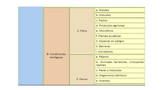 Matriz de leopold - Matriz Ambiental de los