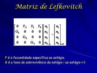 Matriz de Lefkovitch
Lefkovitch (1965) propus que os estágios
  da população não precisam ter a mesma
  duração e que algu...