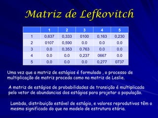 Exemplo da Matriz de Lefkovitch

N0       F0   F1 F2 F3 …. Fs              N0

N1       T0-1 T1-1 T2-1 T3-1   ….. Ts-1   N...