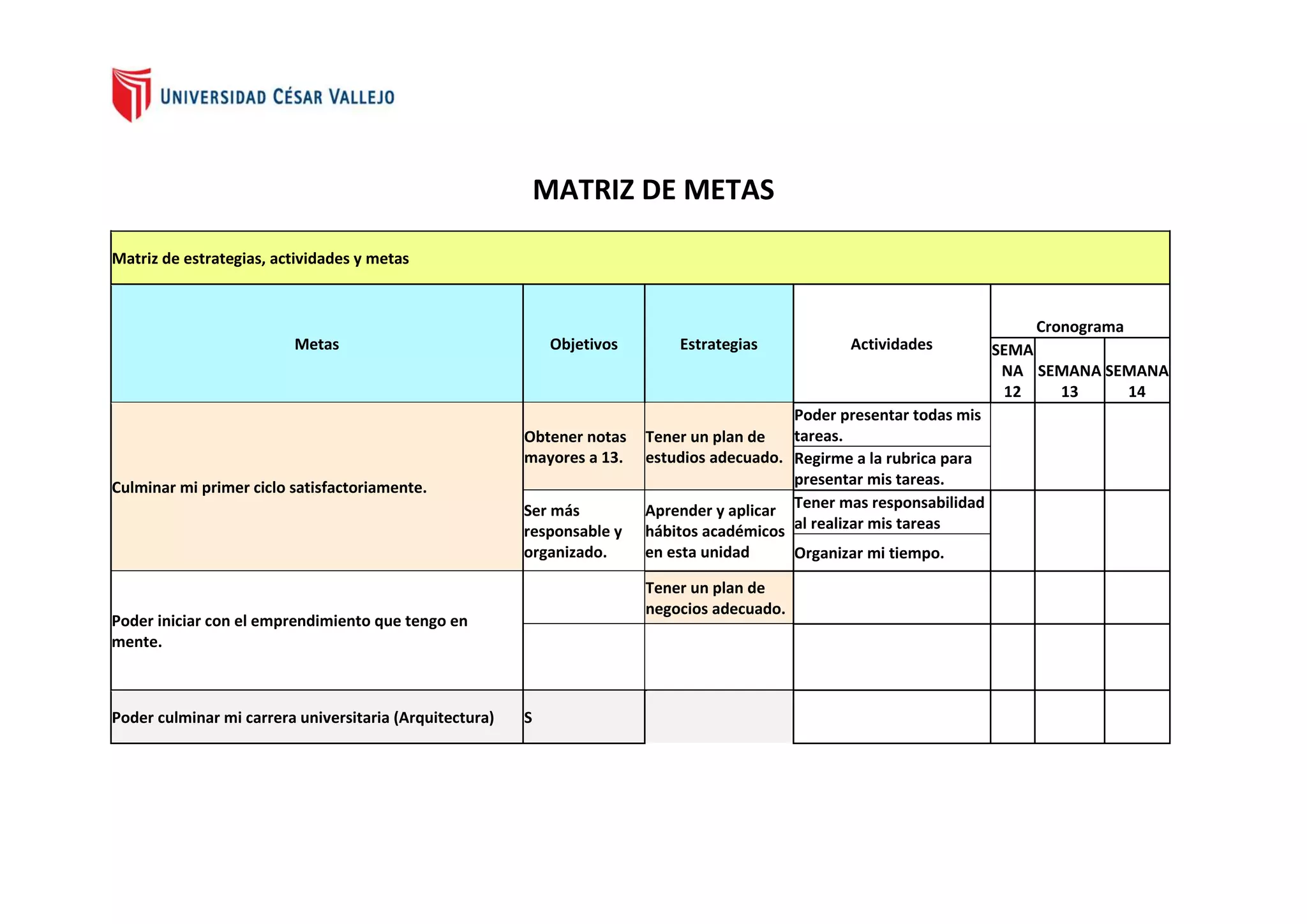 Metas Lablankas MATRIZ DE METAS 13.docx