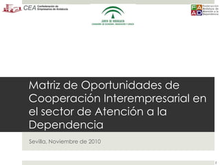 1
Matriz de Oportunidades de
Cooperación Interempresarial en
el sector de Atención a la
Dependencia
Sevilla, Noviembre de 2010
 