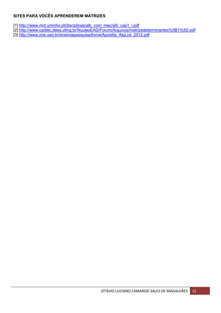 OTÁVIO LUCIANO CAMARGO SALES DE MAGALHÃES 12
SITES PARA VOCÊS APRENDEREM MATRIZES
[1] http://www.mct.uminho.pt/disciplinas/alb_com_mec/alb_cap1_i.pdf
[2] http://www.cadtec.dees.ufmg.br/NucleoEAD/Forum/Arquivos/matrizedeterminantes%5B1%5D.pdf
[3] http://www.ime.uerj.br/ensinoepesquisa/livros/Apostila_AlgLinI_2012.pdf
 