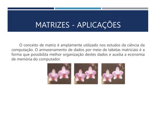 MATRIZES - APLICAÇÕES
O conceito de matriz é amplamente utilizado nos estudos da ciência da
computação. O armazenamento de dados por meio de tabelas matriciais é a
forma que possibilita melhor organização destes dados e auxilia a economia
de memória do computador.
 