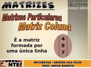 7
5
4É a matriz
formada por
uma única linha
ENSINO MÉDIO
 
