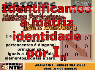 É a matriz em que todos
os elementos
pertencentes à diagonal
principal são
iguais a 1 e os demais
elementos, iguais a zero.
100
010
001
ENSINO MÉDIO
 
