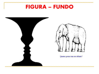FIGURA – FUNDO
 