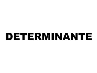DETERMINANTE
 