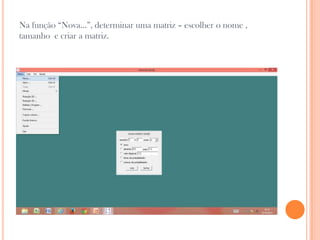 Na função “Nova...”, determinar uma matriz – escolher o nome ,
tamanho e criar a matriz.

 