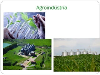 Agroindústria
 