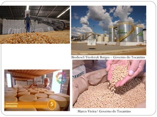 Biodiesel/Frederyk Borges – Governo do Tocantins
Marco Vieira/ Governo do Tocantins
 