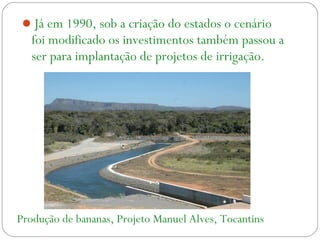 Já em 1990, sob a criação do estados o cenário
foi modificado os investimentos também passou a
ser para implantação de projetos de irrigação.
Produção de bananas, Projeto Manuel Alves, Tocantins
 