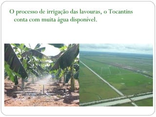 O processo de irrigação das lavouras, o Tocantins
conta com muita água disponível.
 