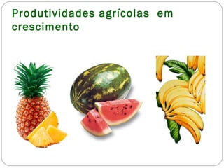 Produtividades agrícolas em
crescimento
 