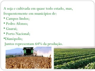 A soja e cultivada em quase todo estado, mas,
frequentemente em municípios de:
• Campos lindos;
• Pedro Afonso;
• Guaraí;
• Porto Nacional;
•Dianópolis;
Juntos representam 64% da produção.
 