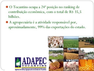 O Tocantins ocupa a 24ª posição no ranking de
contribuição econômica, com o total de R$ 35,5
bilhões.
A agropecuária é a atividade responsável por,
aproximadamente, 99% das exportações do estado.
 