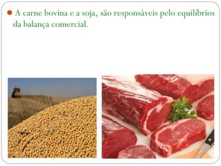 A carne bovina e a soja, são responsáveis pelo equilíbrios
da balança comercial.
 