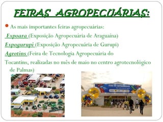 FEIRAS AGROPECUÁRIAS:FEIRAS AGROPECUÁRIAS:
As mais importantes feiras agropecuárias:
Expoara (Exposição Agropecuária de Araguaína)
Expogurupi (Exposição Agropecuária de Gurupi)
Agrotins (Feira de Tecnologia Agropecuária do
Tocantins, realizadas no mês de maio no centro agrotecnológico
de Palmas)
 