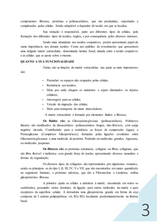 3
componentes fibrosos, proteínas e polissacarídeos, que são produzidas, exportadas e
complexadas pelas células. Sendo adaptável a depender do tecido em que se localiza.
Sua variação é responsável, junto aos diferentes tipos de células, pela
formação dos diferentes tipos de tecidos, órgãos, e por consequência pelos diversos sistemas.
Sendo mais abundante nos tecidos conjuntivos, porém apresentado papel de
suma importância nos demais tecidos. Como nos epitélios de revestimento que apresentam
uma delgada matriz extracelular, denominada lamina basal, situada entre o tecido conjuntivo
e as células que se apoia sobre o mesmo.
QUANTO A SUA FUNCIONALIDADE
Várias são as funções da matriz extracelular, nas quais as mais importantes
são:
 Preencher os espaços não ocupados pelas células;
 Resistência aos tecidos;
 Meio por onde chegam os nutrientes e sejam eliminados os dejetos
celulares;
 Ancoragem para as células;
 Veículo de migração das células;
 Meio para transporte de sinais intercelulares.
A matriz extracelular é formada por elementos fluidos e fibrosos.
Os fluidos são: as Glicosaminoglicanas (polissacarídeos), Polímeros
lineares são ramificados de dissacarídeos -polissacarídeos longos, não-flexíveis, com carga
negativa elevada. Contribuindo para a resistência as forças de compressão (água); e
Proteoglicanas (Complexos Glicoprotéicos), formadas pelas ligações covalentes entre
Glicosaminoglicanase e uma molécula de proteína. Podendo ser moléculas grandes, Agrecana,
ou moléculas pequenas.
Os fibrosos são: as proteínas estruturais, colágeno ou fibras colágenas, que
são fibra flexível e inelástica com grande força de tensão, apresentando diversos tamanhos e
formas de organização.
Os diversos tipos de colágenos são representados por algarismos romanos,
sendo os principais os do tipo I, II, III, IV, V e VII, que são encontrados em maior quantidade
no organismo humano; e proteínas adesivas, que são a Fibronectina e Laminina, ambas
glicoproteínas fibrosas.
A primeira ajuda as células a aderirem à matriz, encontrada em todos os
vertebrados, possuindo vários domínios de ligação para outras moléculas da matriz e para
receptores da superfície celular. A derradeira uma glicoproteína grande em forma de cruz
composta de 3 cadeias polipeptídicas (A, B1e B2), localizada predominantemente na lâmina
basal.
 