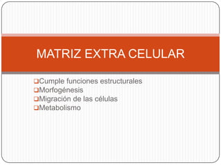 Cumple funciones estructurales