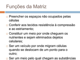 Funções da Matriz
 Preencher os espaços não ocupados pelas
células
 Conferir aos tecidos resistência à compressão
e ao estriamento;
 Constituir um meio por onde cheguem os
nutrientes e sejam eliminados dejetos
celulares;
 Ser um veículo por onde migram células
quando se deslocam de um ponto para o
outro;
 Ser um meio pelo qual chegam as substâncias
 