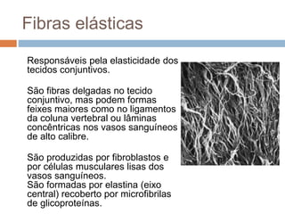 Fibras elásticas
Responsáveis pela elasticidade dos
tecidos conjuntivos.
São fibras delgadas no tecido
conjuntivo, mas podem formas
feixes maiores como no ligamentos
da coluna vertebral ou lâminas
concêntricas nos vasos sanguíneos
de alto calibre.
São produzidas por fibroblastos e
por células musculares lisas dos
vasos sanguíneos.
São formadas por elastina (eixo
central) recoberto por microfibrilas
de glicoproteínas.
 