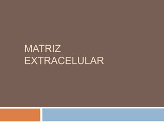 MATRIZ
EXTRACELULAR
 