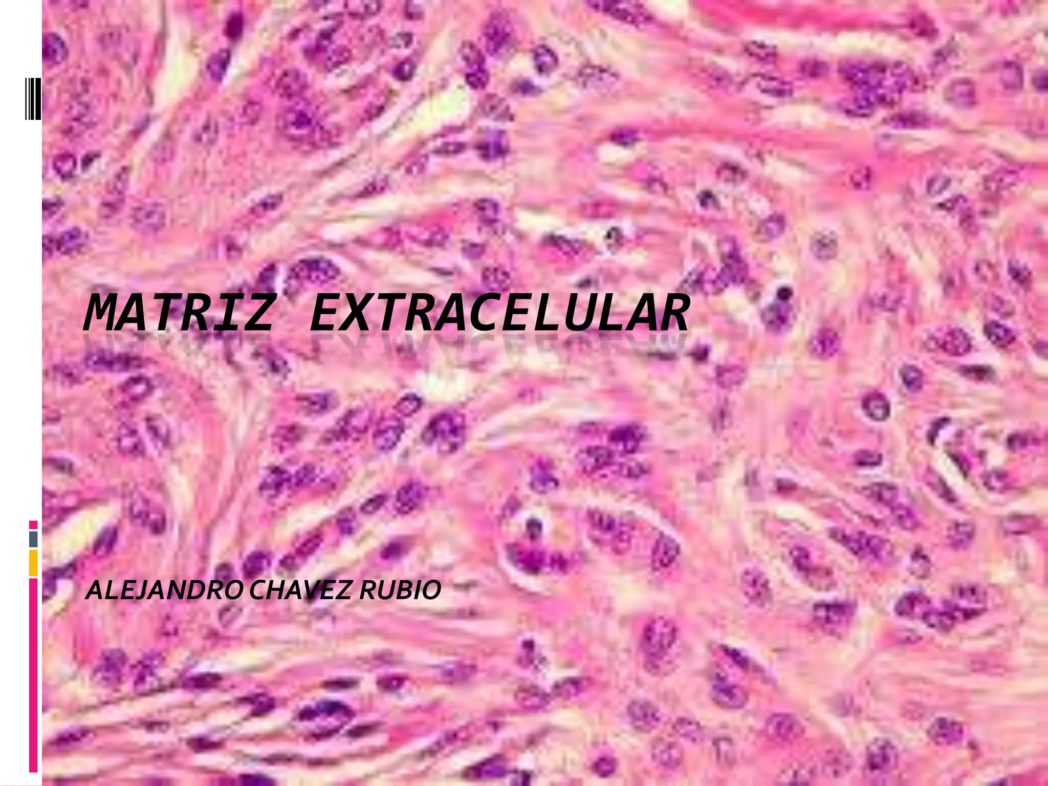 Matrix Celular Matriz extracelular | PPTX