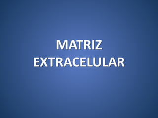 MATRIZ
EXTRACELULAR
 