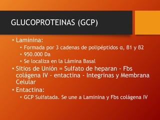 Matriz extracelular | PPTX