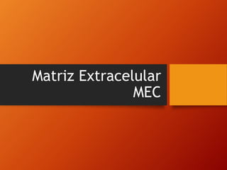Matriz Extracelular
MEC
 