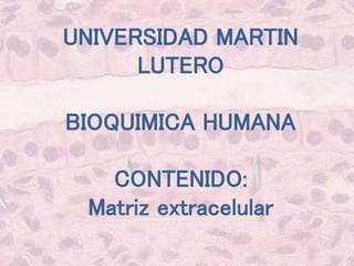 UNIVERSIDAD MARTIN
LUTERO
BIOQUIMICA HUMANA
CONTENIDO:
Matriz extracelular
 