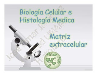 Biología Celular e
Histología Medica

         Matriz
         extracelular
 