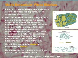 Matriz Extracelular: Fibras Elásticas
Alberts et al. (1997); Gartner, Hiatt (1999);
• Parte central amorfa; confere extensibilidade e
capacidade de retração do pulmão, vasos
sanguíneos e ligamentos;
• Não é tão distribuida quanto o colágeno; está
presente em grande quantidades; parece
existir apenas um tipo; hidroxilisina e
hidroxilisina glicosilada não estão presentes;
não é sintetizada em uma pro forma com
peptídeos de extensão; não contém
sequências repetitivas Gly-X-Y; não contém
estrutura em tripla hélice;não contém frações
de carboidratos; 1/3 dos aa é Gly; rica em
prolina, alanina e valina, pobre em
hidroxiprolina; não contém hidroxilisina
• Constituídas pela proteína elastina e
microfibrilas de fibrilina.
• Numerosas ligações cruzadas entre as fibras
garante o alto grau de elasticidade.
 