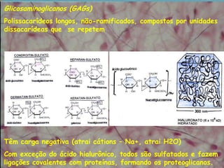 Glicosaminoglicanos (GAGs)
Polissacarídeos longos, não-ramificados, compostos por unidades
dissacarídeas que se repetem
Têm carga negativa (atrai cátions – Na+, atrai H2O)
Com exceção do ácido hialurônico, todos são sulfatados e fazem
ligações covalentes com proteínas, formando os proteoglicanos.
 