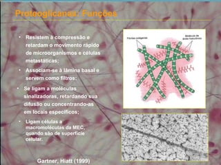 Proteoglicanas: Funções
• Resistem à compressão e
retardam o movimento rápido
de microorganismos e células
metastáticas;
Gartner, Hiatt (1999)
• Associam-se à lâmina basal e
servem como filtros;
• Se ligam a moléculas
sinalizadoras, retardando sua
difusão ou concentrando-as
em locais específicos;
• Ligam células a
macromoléculas da MEC,
quando são de superfície
celular.
 