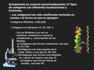 matriz extracelular clase viernes 09.pptx