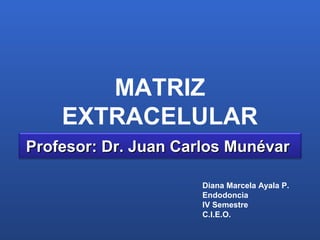 MATRIZ
    EXTRACELULAR
Profesor: Dr. Juan Carlos Munévar

                      Diana Marcela Ayala P.
                      Endodoncia
                      IV Semestre
                      C.I.E.O.
 