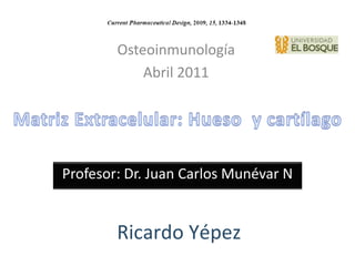 Ricardo Yépez
Profesor: Dr. Juan Carlos Munévar N
Osteoinmunología
Abril 2011
 