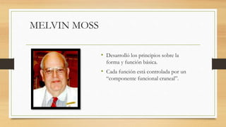 MELVIN MOSS
• Desarrolló los principios sobre la
forma y función básica.
• Cada función está controlada por un
“componente funcional craneal”.
 