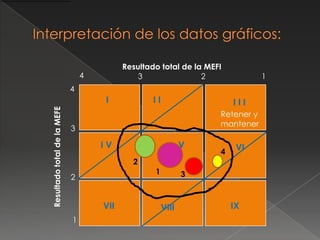 Matriz Interna – Externa