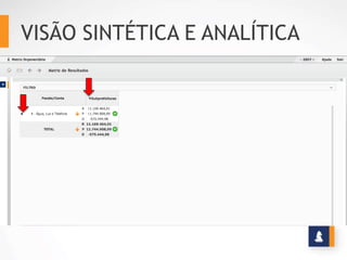 VISÃO SINTÉTICA E ANALÍTICA
 