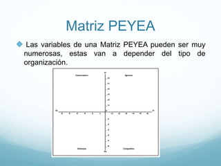 Matriz PEYEA
 Las variables de una Matriz PEYEA pueden ser muy
numerosas, estas van a depender del tipo de
organización.
 